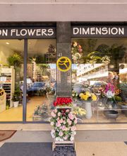 Gallery Professionale