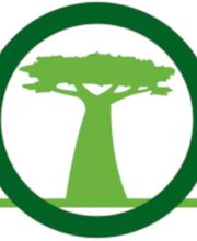 Baobab SARL image 1