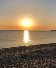 Super Hundeurlaub Bild 8