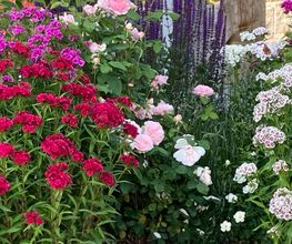 Raduner Gartenbau AG Bild 5