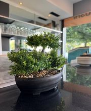 Kintaro Sushi Bild 3