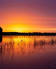 Presqu'Ile D'images image 11