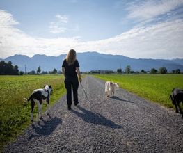 DOG PATROL GmbH Bild 5