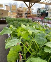 Bricomarché La Loupe image 4