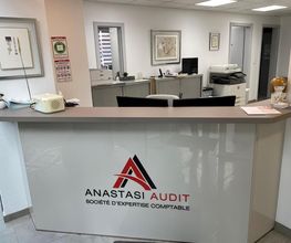 Anastasi Audit image 3