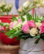 Garden & Nostalgia imagen 5