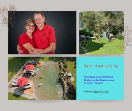 MenschUndHundZentrum Bild 42