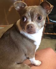 Belle Plaine Animal Hospital image 10