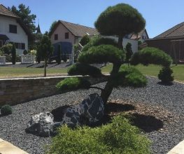 Gartengestaltung / Planung
