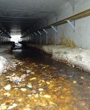 Rivière Environnement image 1