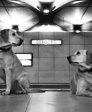 Laforêt Immobilier image 9