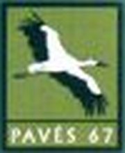 Paves 67 image 4