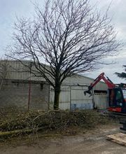 AS Recyclage image 7