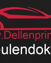 DELLENPRINZ Bild 1
