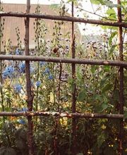 das Landleben Bild 8