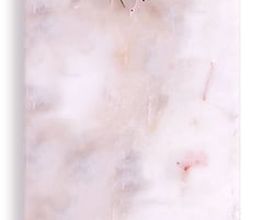 Kangjian Massage Bild 3