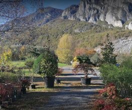 Pépinière des Pyrénées image 18