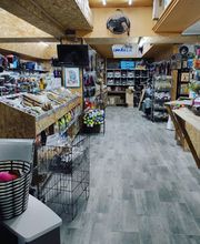 AmaitaVet Clínica Veterinaria imagen 3