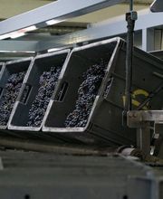 Lequart Laurent image 18