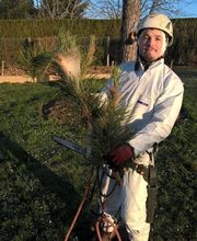 Arbor Environnement image 8