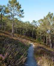 Camping Le Panoramic image 2