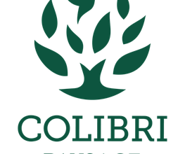 COLIBRI PAYSAGE image 3