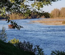 Le Bord De Loire image 10