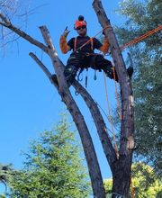 THILL SEBASTIEN image 8