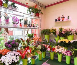 Le Langage Des Fleurs image 20