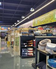 Animalis Cesson image 4