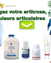 Boutouchent Abdelaziz Alexandre image 10