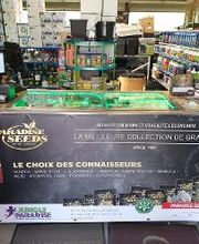 Jungle Paradise image 10