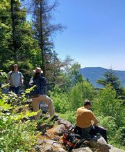 Thomas Romuald image 1