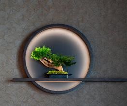 KOI imagen 3