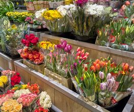 Blumen