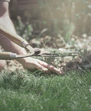 Garten Service Dean Patzelt Bild 5