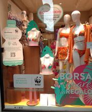 Calzedonia immagine 1