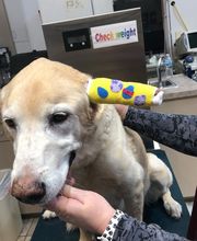 Deer Park Veterinary Hospital image 11