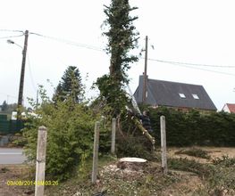 Bouvier Gianni image 18
