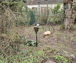 Arbres et Cimes image 6