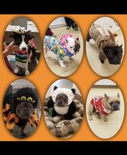 Riverbank Animal Hospital image 7