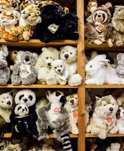 Jouets Davidson Bild 12