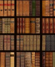 Girardin Patrick image 3