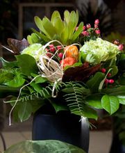 Blumen Rosenrot Bild 4