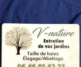 V-nature image 12