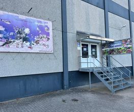 KN-Aquaristik Versandhandel GmbH Bild 2