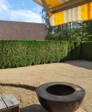 MM Gartenpflege GmbH Bild 6