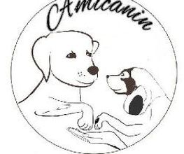 Amicanin image 5