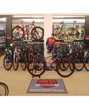 BIKE PROFIS Zwickau e. K. Bild 2