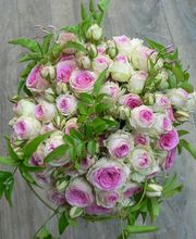 Anais Fleurs image 3